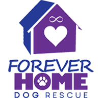 Forever Home Dog Rescue